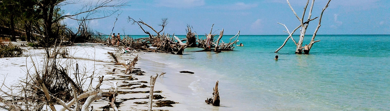 photo of people swimming in a remote wilderness area